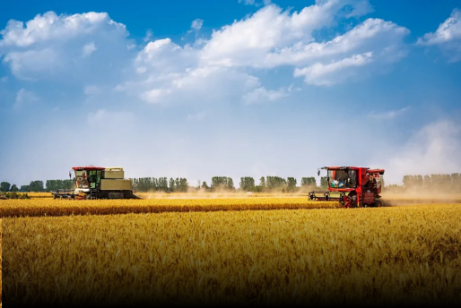 Agriculture